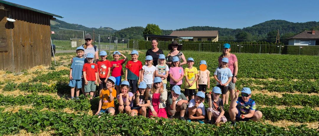 Eine Gruppe von Kindern und Erwachsenen posiert für ein Foto in einem Feld mit Erdbeeren, umgeben von Bergen.