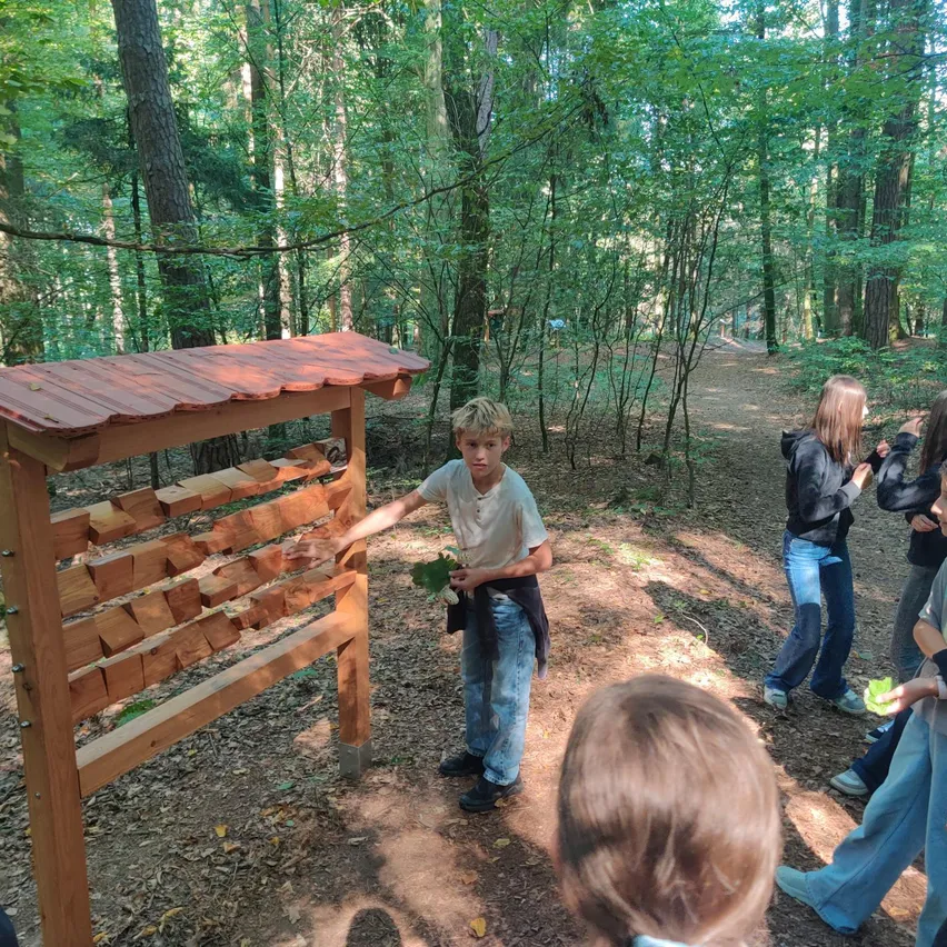 Ein junger Junge steht vor einer Holzstruktur im Wald und erklärt etwas einer Gruppe von Kindern.