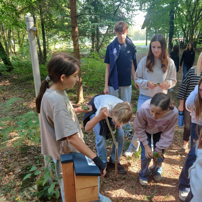 Eine Gruppe junger Menschen versammelt sich im Wald und untersucht etwas am Boden.