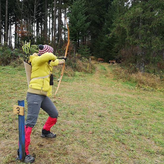 Bild enthält, Weapon, Archer, Archery, Bow, Person, Shoe, Hat, Vegetation, Cow