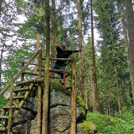 Bild enthält, Jungle, Outdoors, Vegetation, Land, Rainforest, Tree, Grove, Woodland, Wilderness, Rock