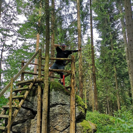 Bild enthält, Jungle, Outdoors, Vegetation, Land, Rainforest, Tree, Grove, Woodland, Wilderness, Rock