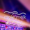 Eine Bar mit einem Neonschild, das 'mole melk' über einer Reihe von Weingläsern zeigt. Die Bar hat einen lila und blauen Hintergrund.