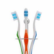 Bild von Dr.in Maria Prechtl