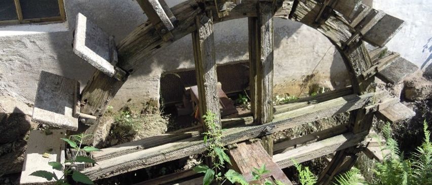 Ein altes Wasserrad aus Holz mit einem Holzrahmen steht an einer weißen Wand. Das Rad ist mit Moos und grünen Pflanzen bedeckt.