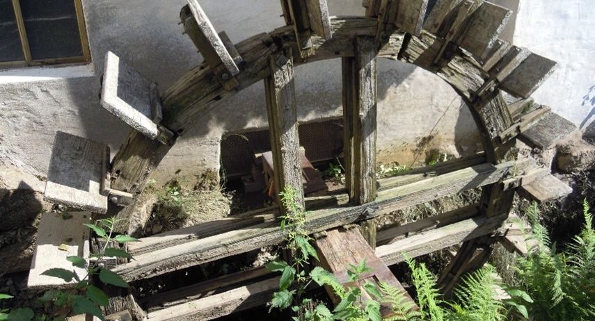 Ein altes Wasserrad aus Holz mit einem Holzrahmen steht an einer weißen Wand. Das Rad ist mit Moos und grünen Pflanzen bedeckt.