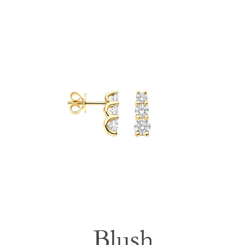 Ein Paar goldene Ohrringe mit herzförmigem Design und einer Reihe kleiner Diamanten, beschriftet mit Blush.