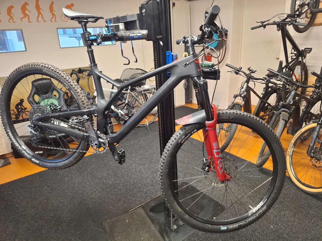 Bild enthält, Bicycle, Mountain Bike, Transportation, Vehicle, Machine, Wheel, Person