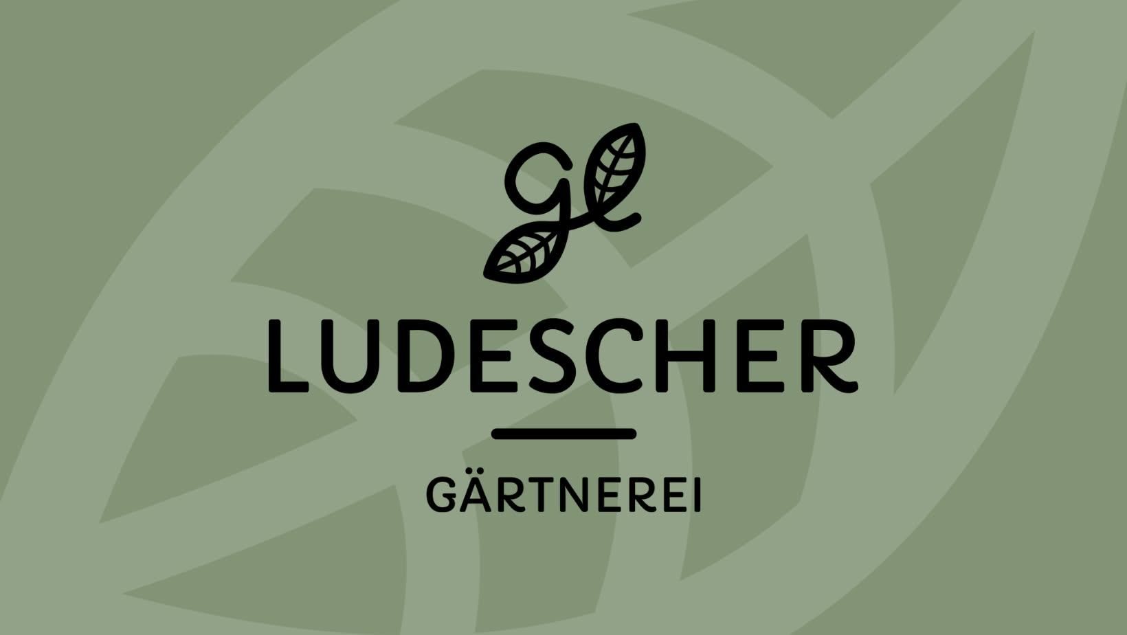Das Logo für Ludescher Gartenei, mit einem stilisierten Blatt und dem Markennamen in fetter schwarzer Schrift auf grünem Hintergrund.