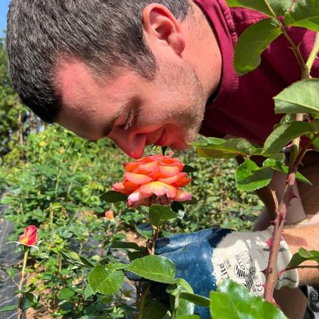 Ein Mann in einem roten Shirt und Handschuhen riecht an einer Rose in einem Garten.