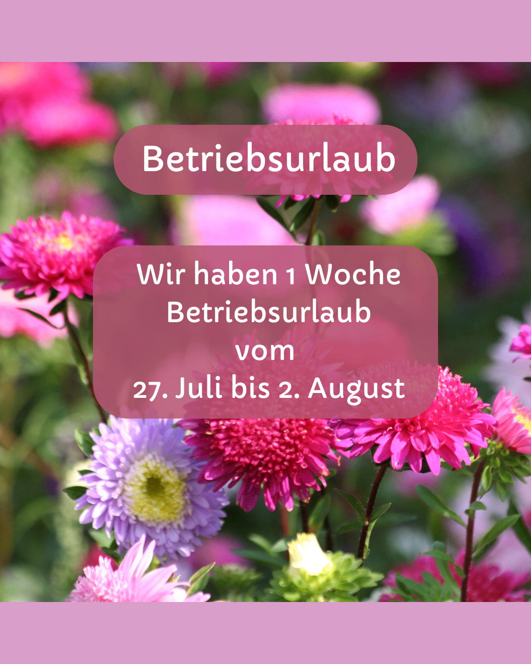 A garden with pink and purple flowers. A text overlay reads 'We have 1 week of vacation from July 27th to August 2nd.'