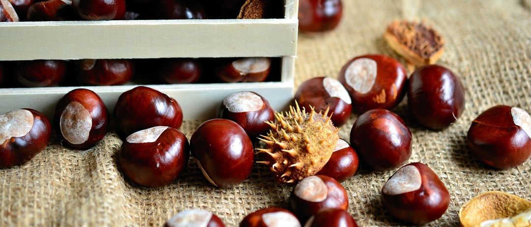 Ein hölzerner Kasten mit Kastanien steht auf einem Jutesäckchen. Die Kastanien haben braune Schalen mit weißen Spitzen und einige haben eine stachelige grüne Hülle.