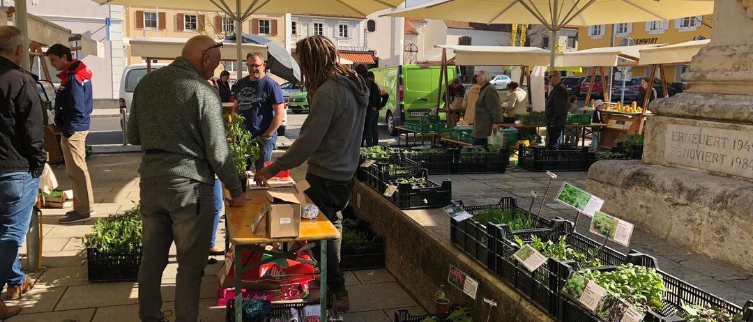 Eine Gruppe von Menschen kauft auf einem Freiluftmarkt ein, wo Stände unter großen Sonnenschirmen stehen. Ein Mann hält eine Pflanze, während ein anderer Pflanzen auf einem Tisch untersucht.
