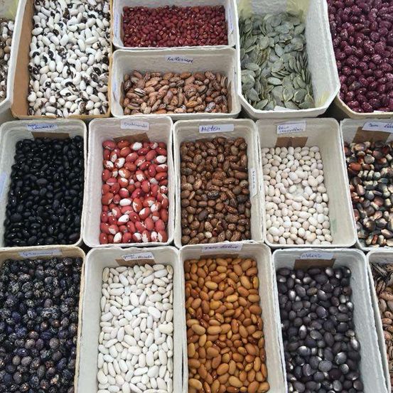 Verschiedene Arten von Bohnen und Samen in unterschiedlichen Behältern, einschließlich schwarzer Bohnen, weißer Bohnen, roter Bohnen und anderer.
