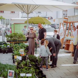 Auf einem Freiluftmarkt stöbern eine Gruppe von Menschen unter einem Regenschirm Pflanzen durch, mit Autos und Gebäuden im Hintergrund.