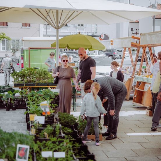 Auf einem Freiluftmarkt stöbern eine Gruppe von Menschen unter einem Regenschirm Pflanzen durch, mit Autos und Gebäuden im Hintergrund.