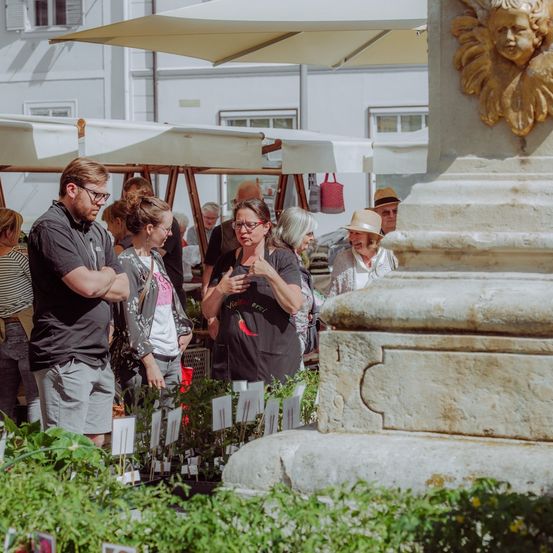Eine Gruppe von Menschen, einige mit Brille, stehen und unterhalten sich in der Nähe von Topfpflanzen unter einem Regenschirm bei einer Veranstaltung im Freien. Im Hintergrund steht eine Statue mit einem goldenen Löwenkopf.