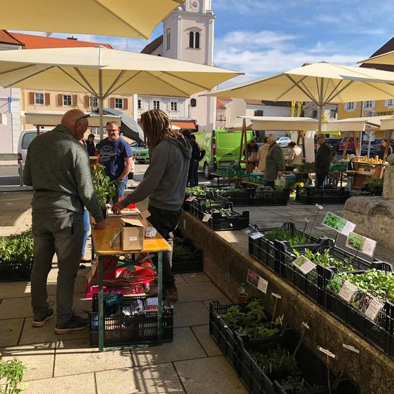 Ein Freiluftmarkt mit mehreren Ständen unter Sonnenschirmen. Zwei Männer stehen in der Nähe eines Tisches, einer hält eine Pflanze. Mehrere Menschen stehen und schauen sich die Pflanzen an.