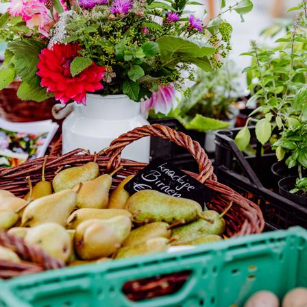 Bild enthält, Flower, Flower Arrangement, Plant, Pear, Produce, Fun, Flower Bouquet, Picnic