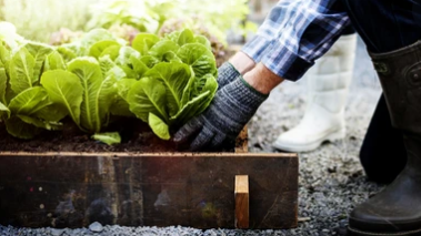 v1_migrated_image_80703297