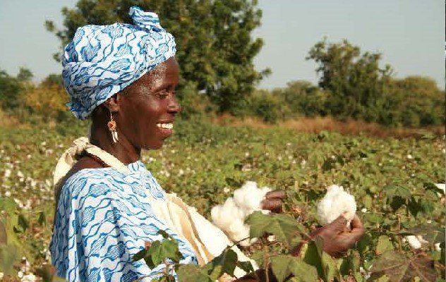 Eine erwachsene Frau mit Kopftuch, lächelnd, hält Baumwolle in einem Feld mit Bäumen im Hintergrund.