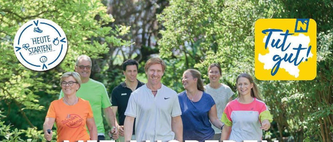 Ein Plakat zur Förderung eines Gesundheitsprogramms in Pottenstein. Es zeigt Menschen beim Gehen und ermutigt zum Gehen als kalorienverbrennende Aktivität. Details umfassen Datum, Ort und Kontaktperson.