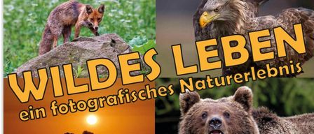 Poster with a fox on a rock and sunset. A bear with an eagle in the background. Date: March 13, 2026. Time: 18:30. Location: Old Herrenhaus, Pottenstein. Speaker: Franz Lindenberg. Free entrance.