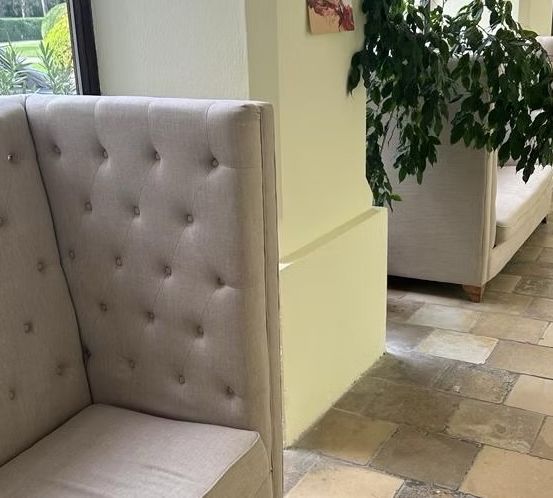 Ein Innenraum mit einem Sofa, einer Pflanze und einem Fenster mit Blick auf Bäume und Gras.