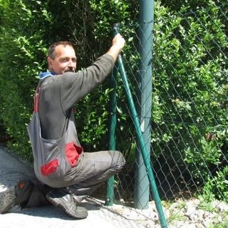 Bild von Szolt Füri