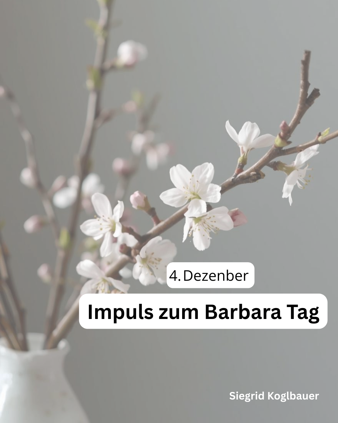 Ein Strauß weißer Blumen in einem Vasen mit unscharfem Hintergrund. Der Text lautet 4. Dezember und Impuls zum Barbara Tag.
