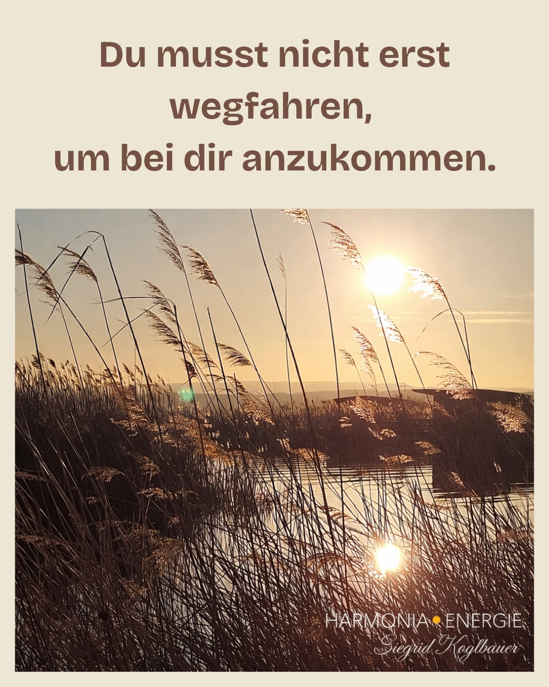 Sonnenuntergang über einem See mit Schilf. Die Sonne scheint hell, reflektiert auf dem Wasser und wirft ein warmes Licht.
