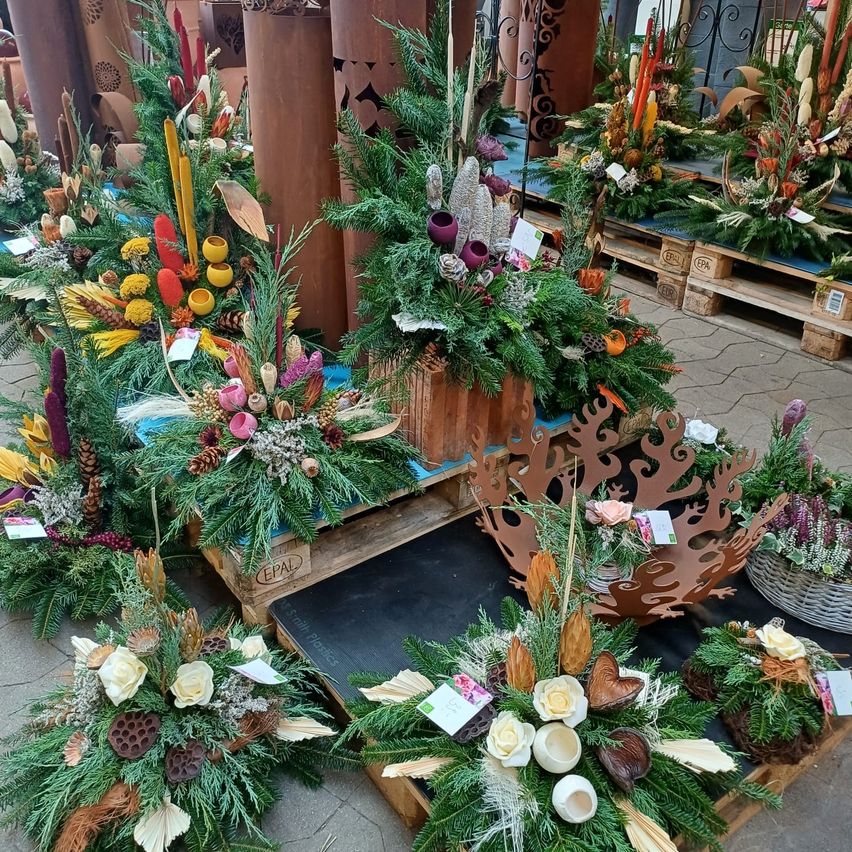 Bild enthält, Christmas, Christmas Decorations, Festival, Christmas Tree, Flower, Plant