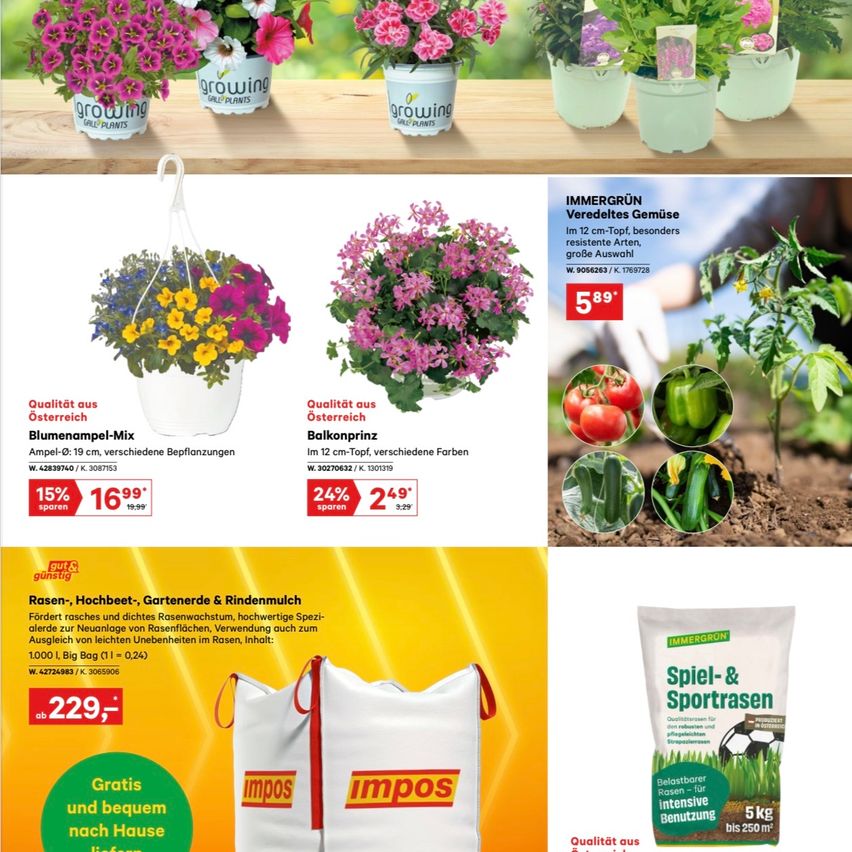 Werbung für Gartenprodukte mit verschiedenen Rabatten und Produktbildern. Oben sind zwei Blumentöpfe und darunter ein Banner mit einem weißen Sack Samen.