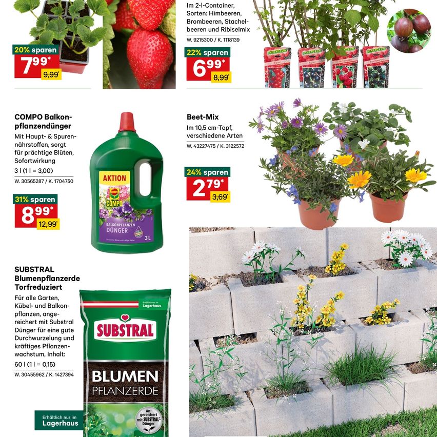 Werbung für Gartenprodukte. Angebote umfassen Balkonpflanzener, Beet-Mix und Erde. Rabatte von 20% bis 31%. Verschiedene Größen und Gewichte verfügbar.