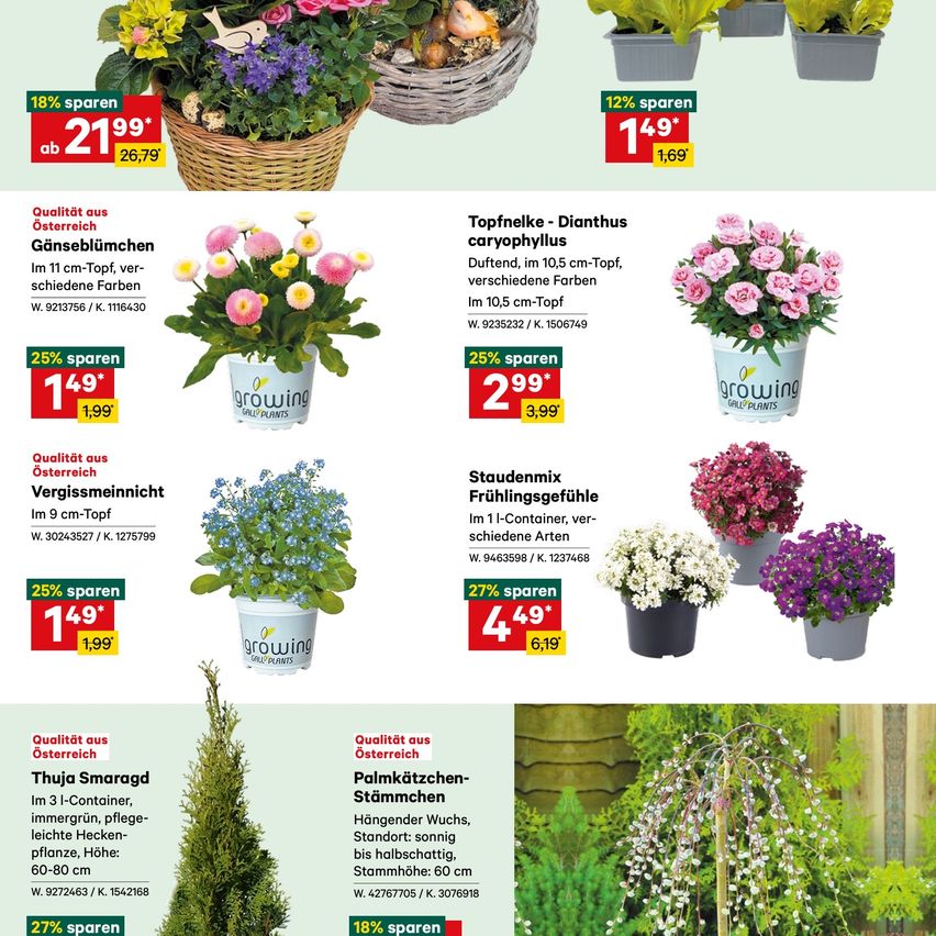 Ein Flyer zeigt verschiedene Topfpflanzen mit Rabatten. Es enthält eine Vielzahl von Blumen und Sträuchern mit entsprechenden Rabatten, Preisen und Produktcodes. Die Pflanzen umfassen eine Mischung aus leuchtenden Farben und Größen.