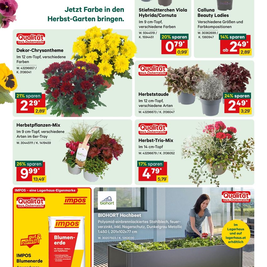 Werbung für verschiedene Topfpflanzen und Gartenprodukte. Es zeigt Bilder von verschiedenen Pflanzen mit Preisschildern und Rabatten. Die Werbung umfasst eine Mischung aus Kräutern und Blumen sowie Gartenwerkzeuge und Zubehör.