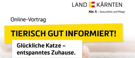 Ein Online-Präsentationsposter mit einem Katzenbild. Es steht 'Tierisch Gut Informiert!' mit 'Online-Vortrag'. Eine Katze liegt mit dem Text 'Glückliche Katze - entspanntes Zuhause'. Zusätzlicher Text beinhaltet 'Was du über Haltung und (Problem-)Verhalten wissen musst'. Die Veranstaltung wird von Daniela Ranftler am 21. Januar 2026 um 17:00 Uhr veranstaltet.