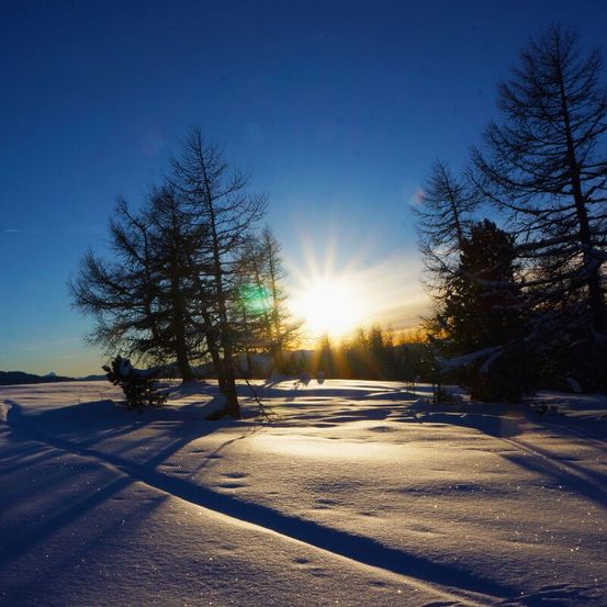 Eine verschneite Landschaft mit der Sonne, die über einem klaren blauen Himmel untergeht. Schatten von Bäumen werden auf den Schnee geworfen.