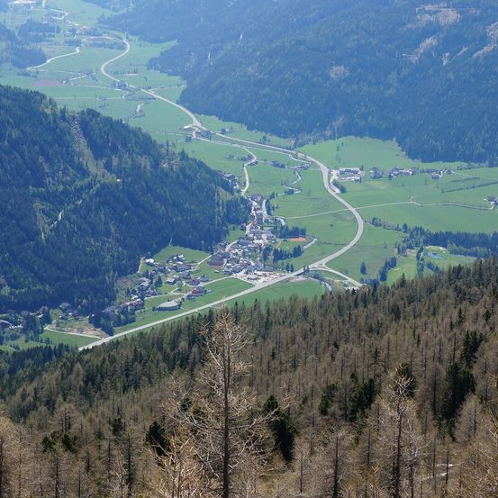 Ein Tal mit einer gewundenen Straße, umgeben von üppigen grünen Feldern und Wäldern. In der Ferne sind mehrere Gebäude und Häuser zu sehen.