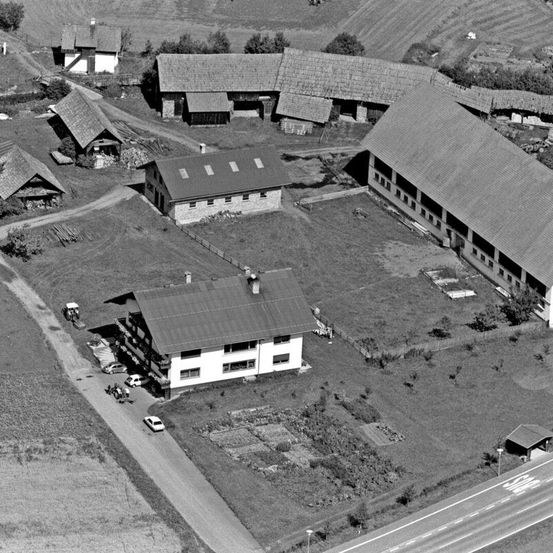 Ein Schwarz-Weiß-Luftbild einer ländlichen Farm mit mehreren Häusern, einem Scheunengebäude und einer Straße. Die Farm ist von Feldern und Bäumen umgeben.