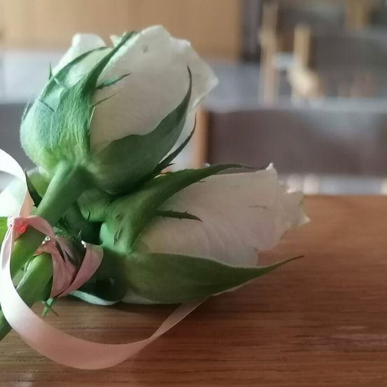 Eine Nahaufnahme von zwei weißen Rosen mit grünen Blättern, die mit einem rosa Band zusammengebunden sind, auf einem Holztisch.