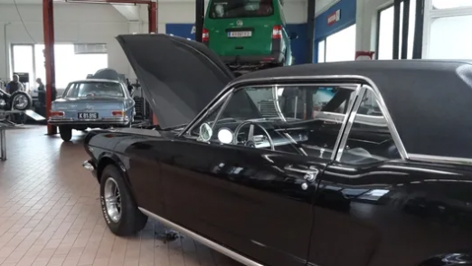 v1_migrated_image_91321650