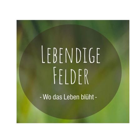 v1_migrated_image_93432336