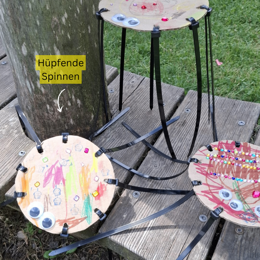 Drei bunte Spinnenbasteleien, die mit schwarzen Riemen an einem Baumstamm befestigt sind. Die Basteleien haben Augen und sind mit Perlen und bunten Zeichnungen verziert. Der Baumstamm hat ein gelbes Schild, das 'Hupfende Spinnen' besagt.