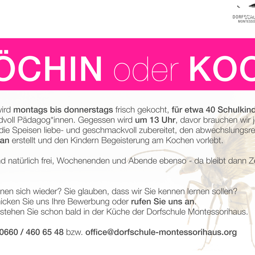 Montags bis donnerstags frisch gekocht, für etwa 40 Schüler*innen. Gegessen wird um 13 Uhr, davor bereiten wir die Speisen lieb- und geschmackvoll zu, den abwechslungsreien erstellen und den Kindern Begeisterung am Kochen vorlebt. Und natürlich frei, Wochenenden und Abende ebenso. Kontaktieren Sie Dorfschule Montessorihaus.