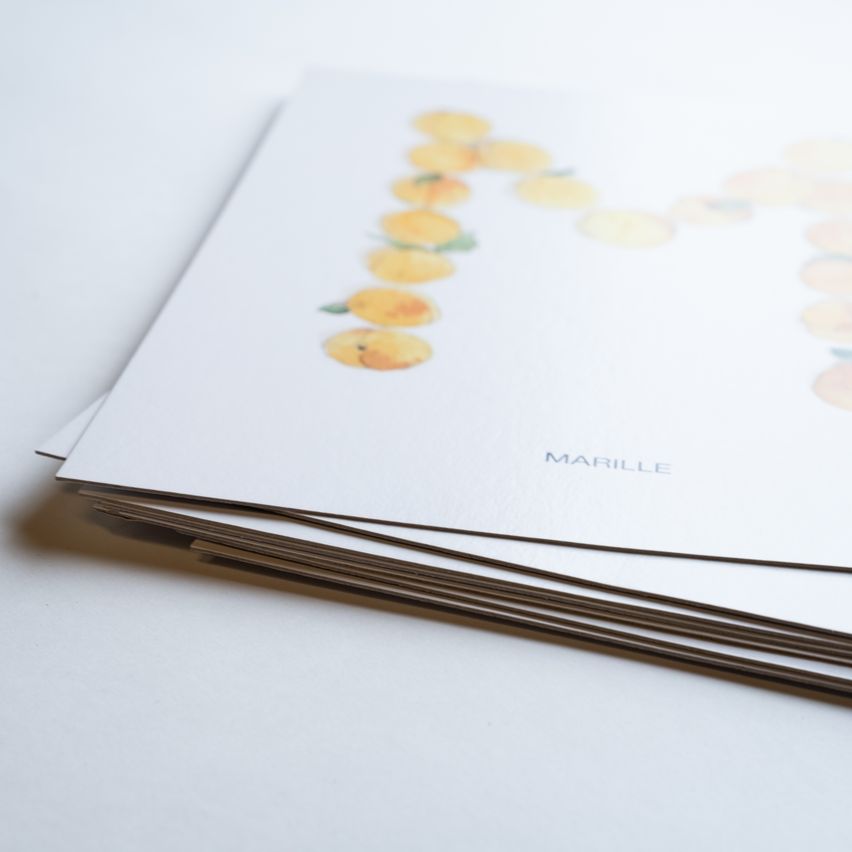 A stack of white cards with the word 'Marille' printed on them, depicting a series of peach illustrations.
