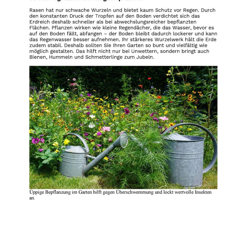 Das Bild zeigt einen Garten mit verschiedenen Blumen, zwei Gießkannen und einer Bildunterschrift, die das Pflanzen zur Überschwemmungsvorbeugung und zur Anlockung von Insekten erwähnt.