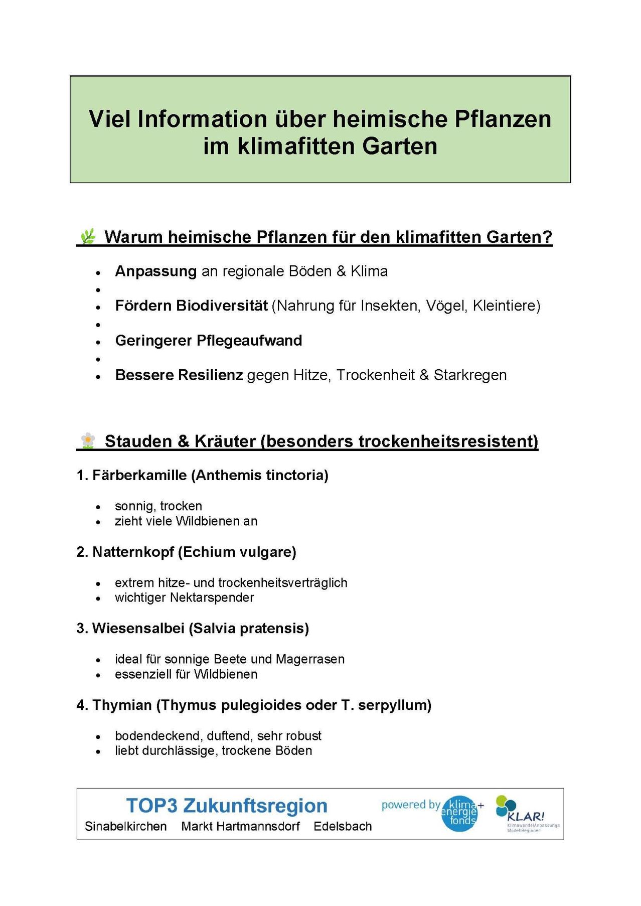 Ein grün gerändertes Dokument mit dem Titel 'im klimafitten Garten' listet Gründe für die Verwendung einheimischer Pflanzen in klimafreundlichen Gärten auf. Vorteile sind die Anpassung an lokale Böden und Klima, die Förderung der Biodiversität und der geringere Pflegeaufwand. Es werden widerstandsfähige Pflanzen gegen Hitze, Trockenheit und Frost hervorgehoben. Es werden auch spezifische Pflanzen wie Färberkamille, Natternkopf, Wiesensalbei und Thymian aufgeführt, wobei ihre Eigenschaften und Vorteile detailliert beschrieben werden.