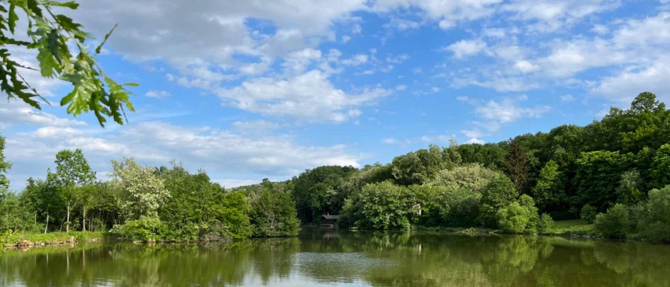 v1_migrated_image_32715697