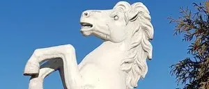 Eine weiße Pferdestatue steht auf zwei Beinen in einem Park. Sie ist von Büschen und Bäumen umgeben. Im Hintergrund ist ein blauer Himmel und einige Gebäude zu sehen.